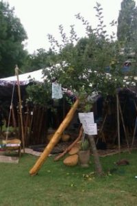 festival de " l'ateliers du coupe couperbre qui marche"
