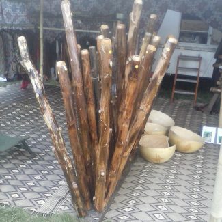 didgeridoo en agave