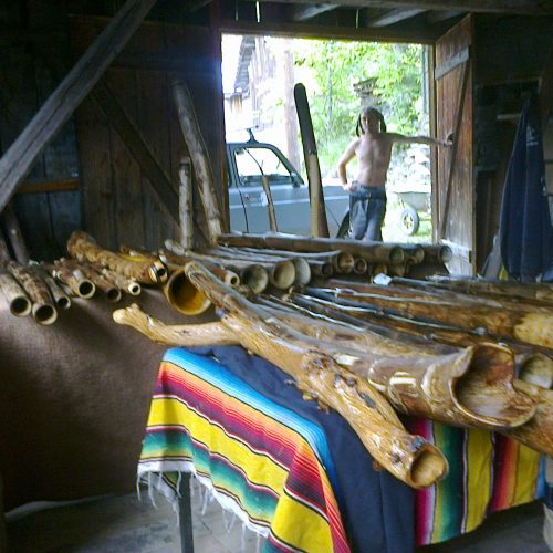 didgeridoos  en agave